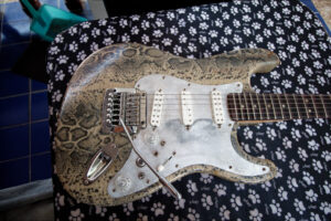 Custom Scalloped Stratocaster – The Snake