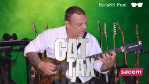 Cat Tax, Cat Tax  Gotta pay your dues  